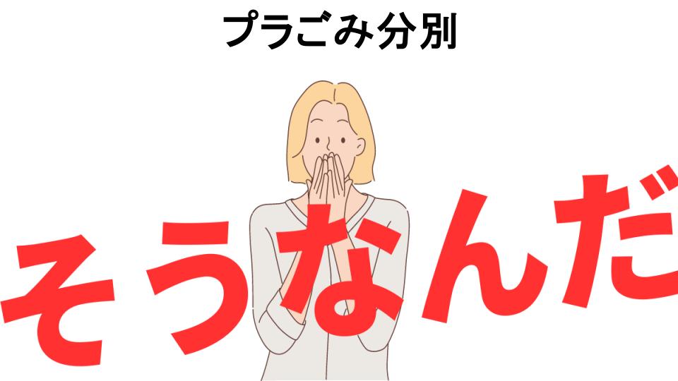 意味ないと思う人におすすめ！プラごみ分別の代わり